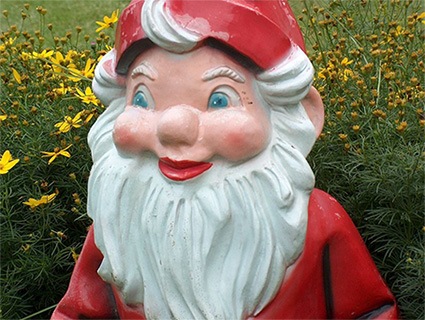 gnome