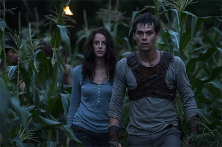 Crawl Alex Aja 2019